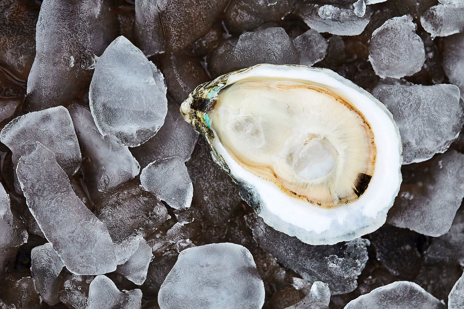 Kieran Wagner, lifestyle and portrait photographer