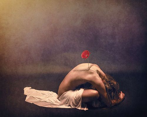 Femme nue recroquevillée avec un coquelicot poussant de son dos, symbolisant la renaissance après une blessure