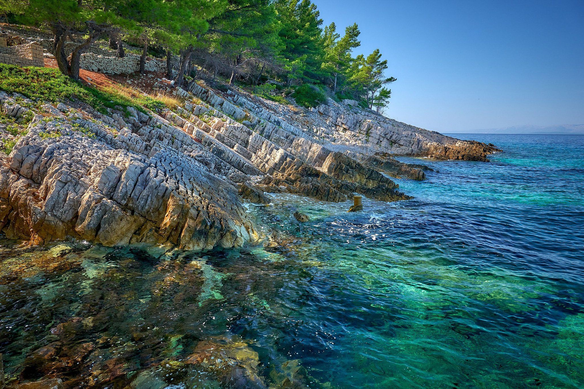 Thomas Upton Photography