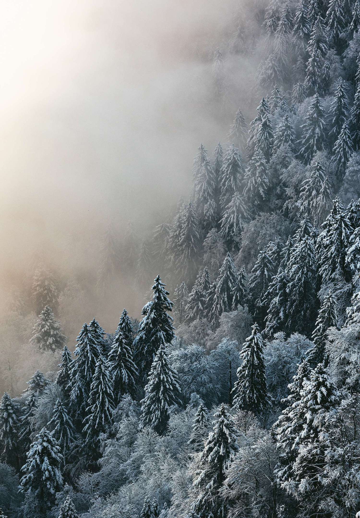 Erna Drion photography