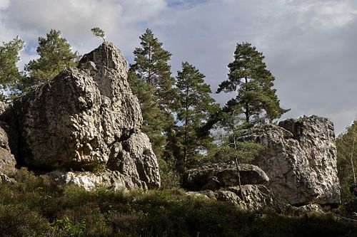 Der grosse Pfahl bei Viechtach