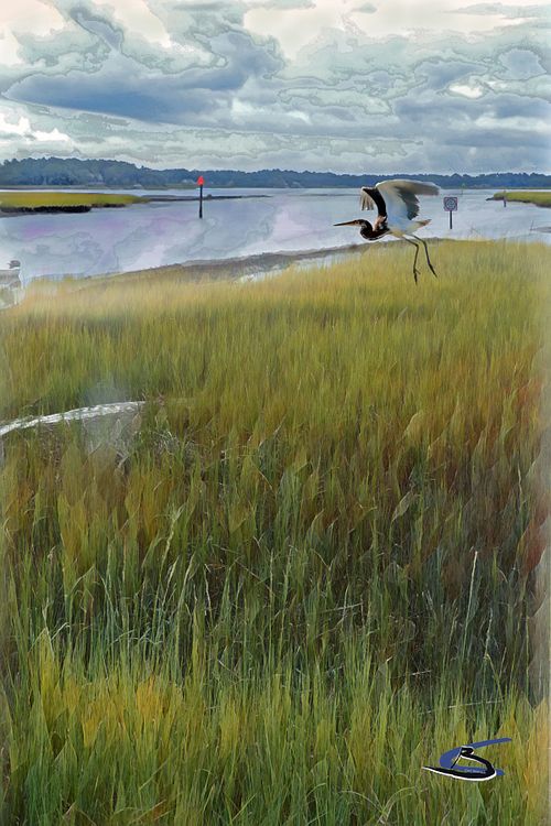 boat inlet, marsh grass, heron landscape