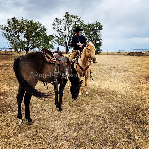 A cowboy is on top of one horse and holds the reigns of horse with no riders on the south dakota prairie
