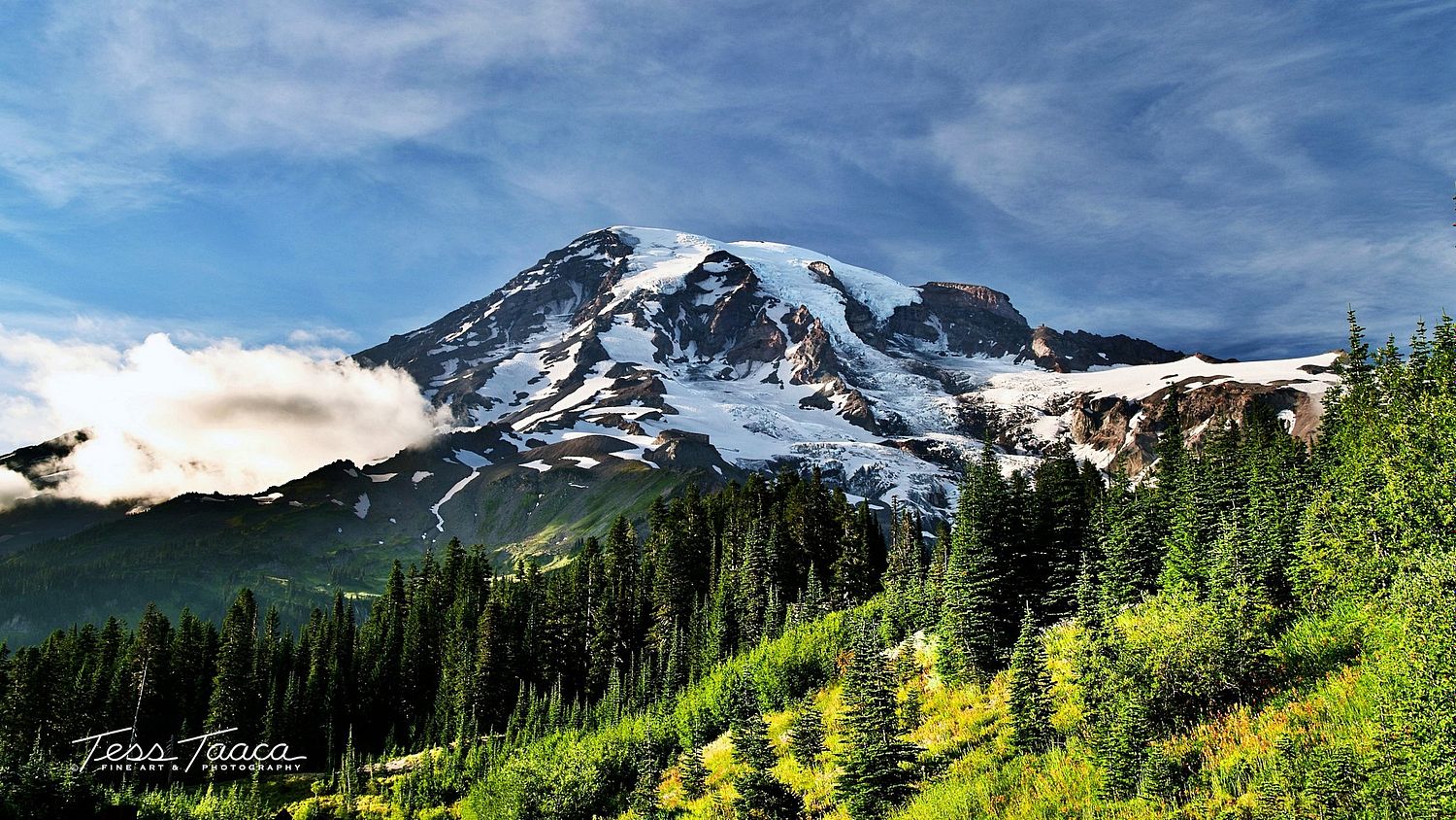 Artwork Of Tess Taaca