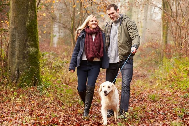 Glückliches Paar geht mit Hund spazieren