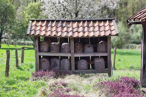 Natur & Umwelt &ndash; Gemeinsam aktiv