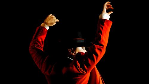 Danseuse de Flamenco en Andalousie