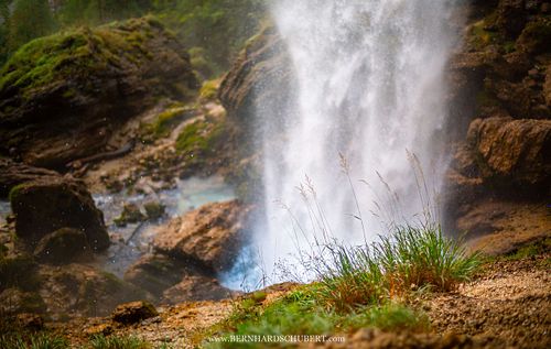 Vegetation und Wasserfall