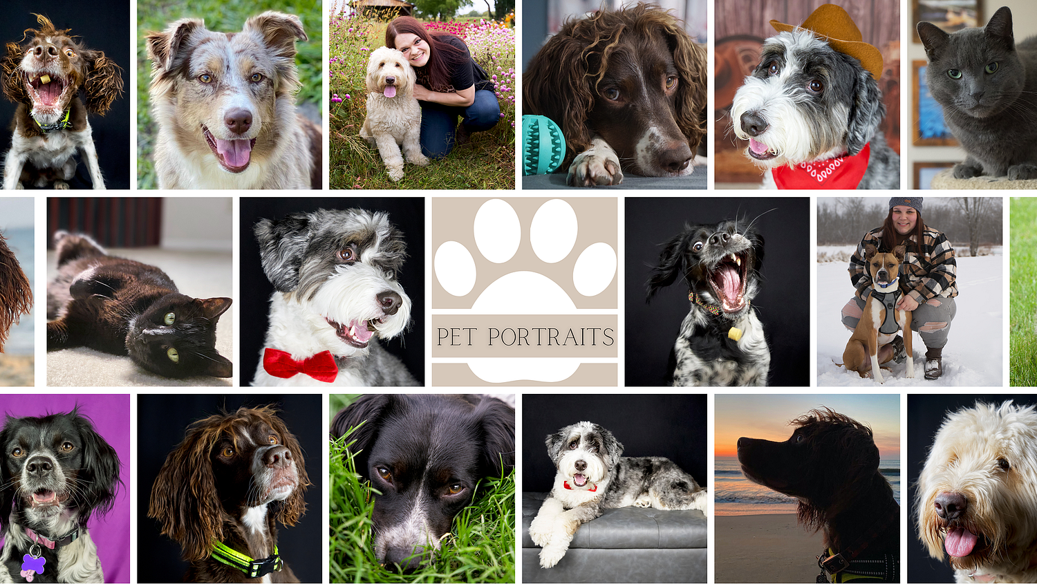 Beyond Measure Gallery