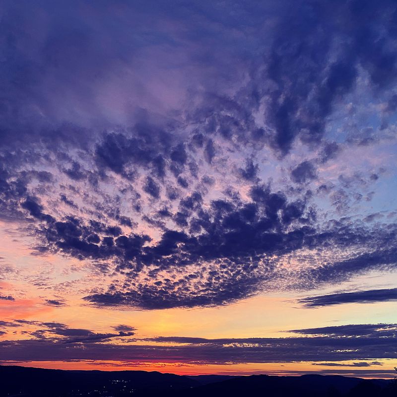 Finally Living My Dream as an Artist