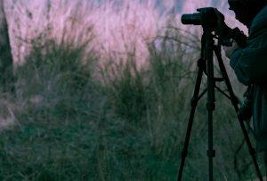 Better tips to use the TRIPOD