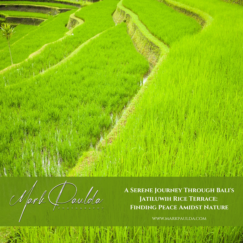 A Serene Journey Through Bali's Jatiluwih Rice Terrace: Finding Peace Amidst Nature