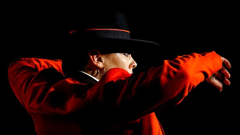 Danseuse de Flamenco