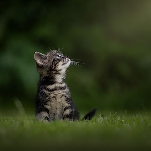 Na de fotoshoot