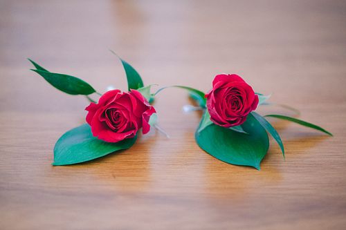 Same Sex Wedding 
