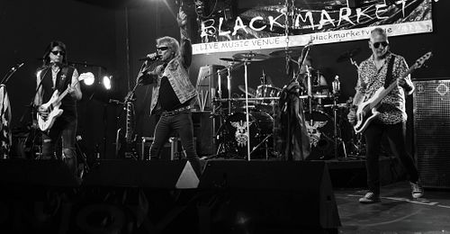 Artist & Band Performances