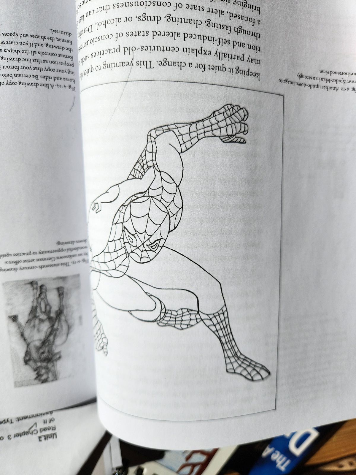 Reference Image - Spider Man