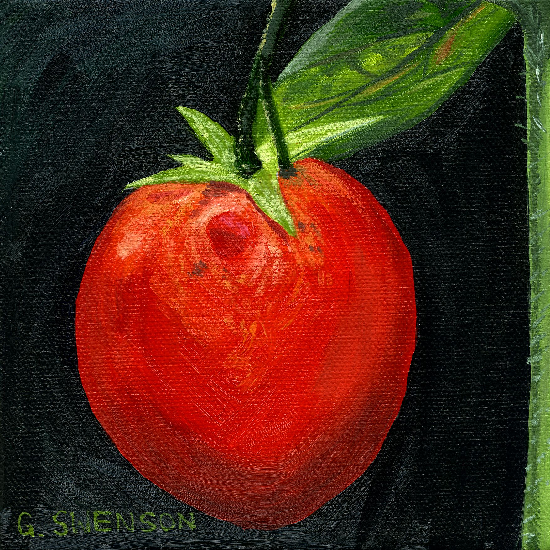 Tomato on the Vine