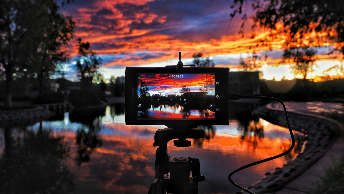 tirando uma foto da natureza