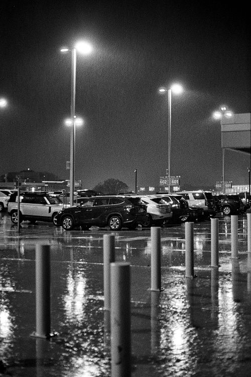 Rooftop Rain