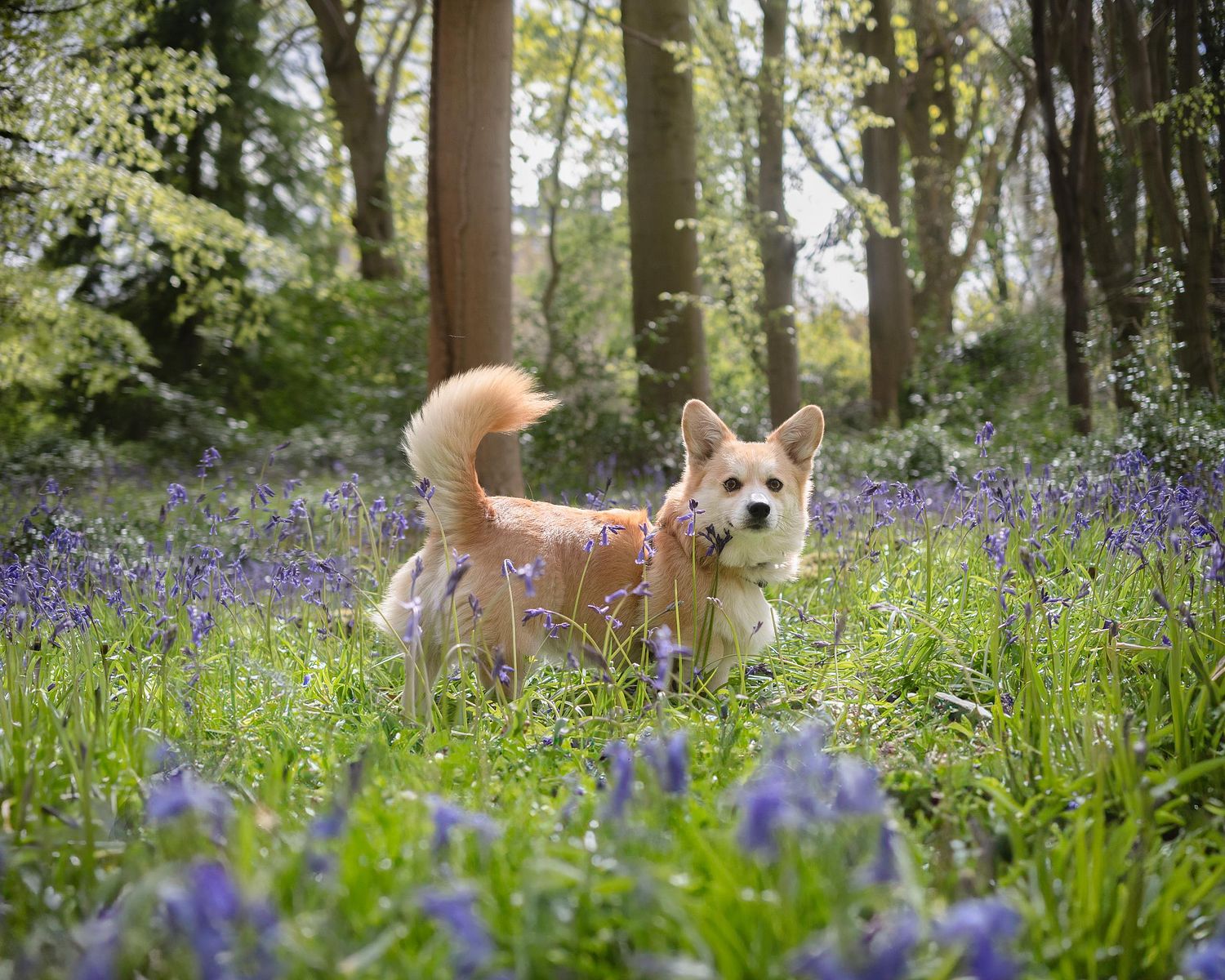 ADVENTURE SHOOTS