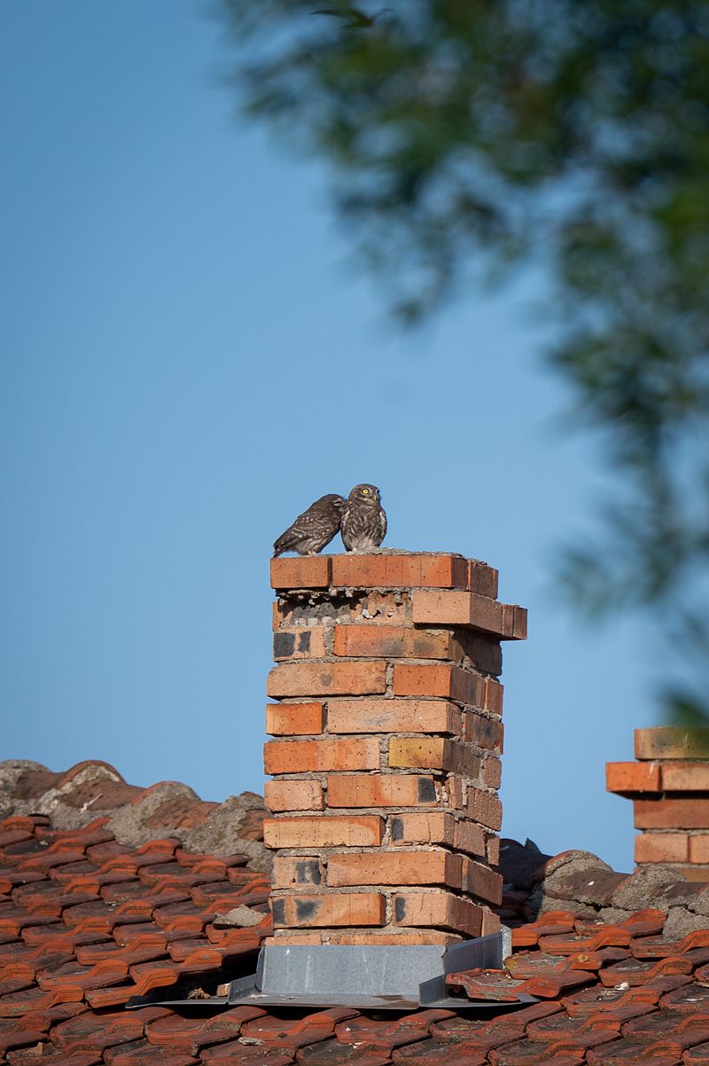 Навън / Outside